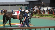 入会のご案内
